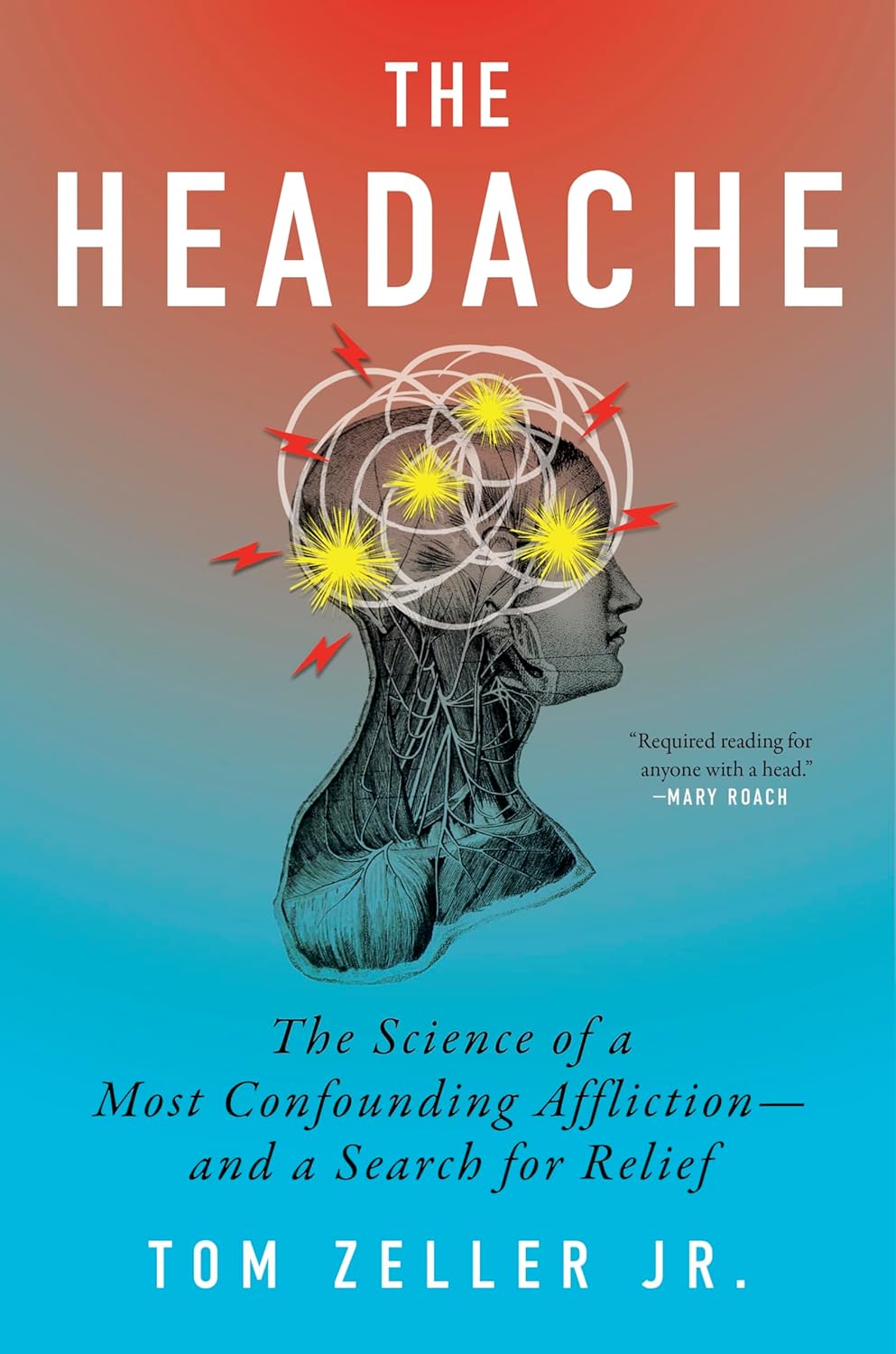 The Headache book cover
